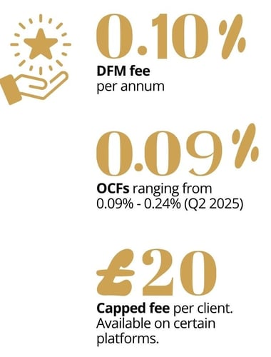 DFM fee per annum (7)